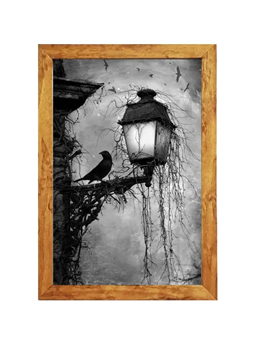 Enmarcado profesional de fotografía