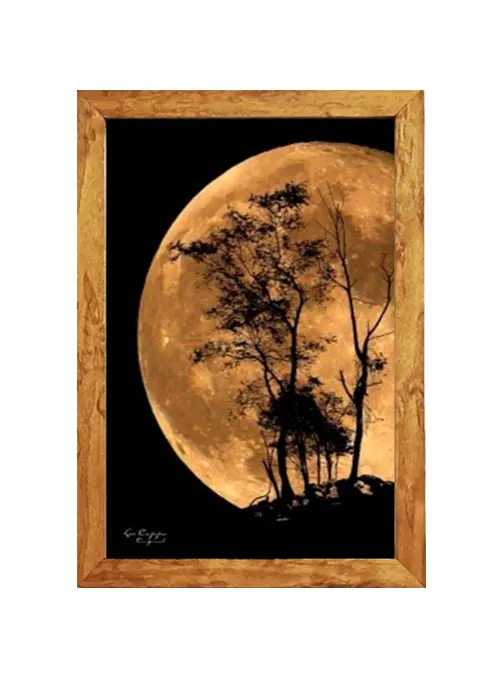 Marco estilo vintage para retrato