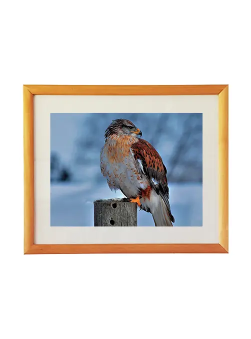 Enmarcación artística con paspartú amplio